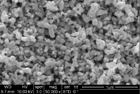 Hvad er forskellen mellem sølv nanotrådspredning og sølv nanotrådsblæk