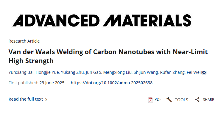 Carbon Nanotubes Gennemgang: Netflydende grænsen